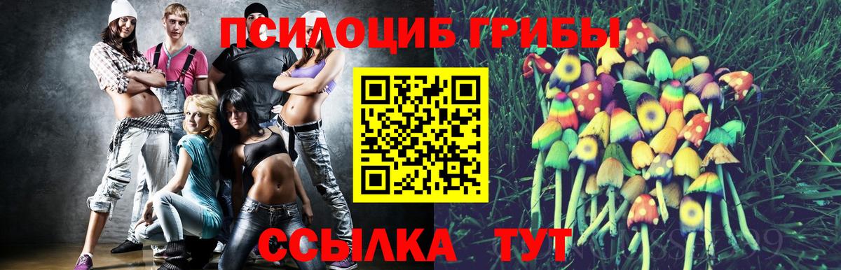 Псилоцибиновые грибы Cubensis Сатка