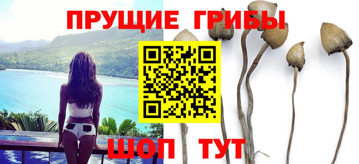 Псилоцибиновые грибы Magic Shrooms  Вход с VPN  Сатка 